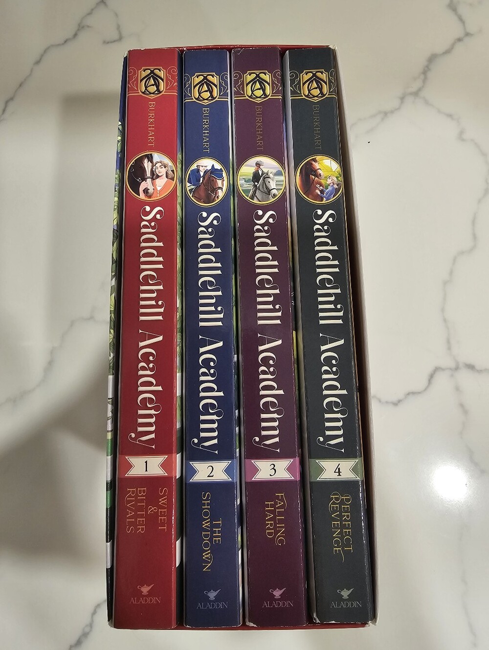 Saddle Hill Academy 4 Book Set By Jessica Burkhart
